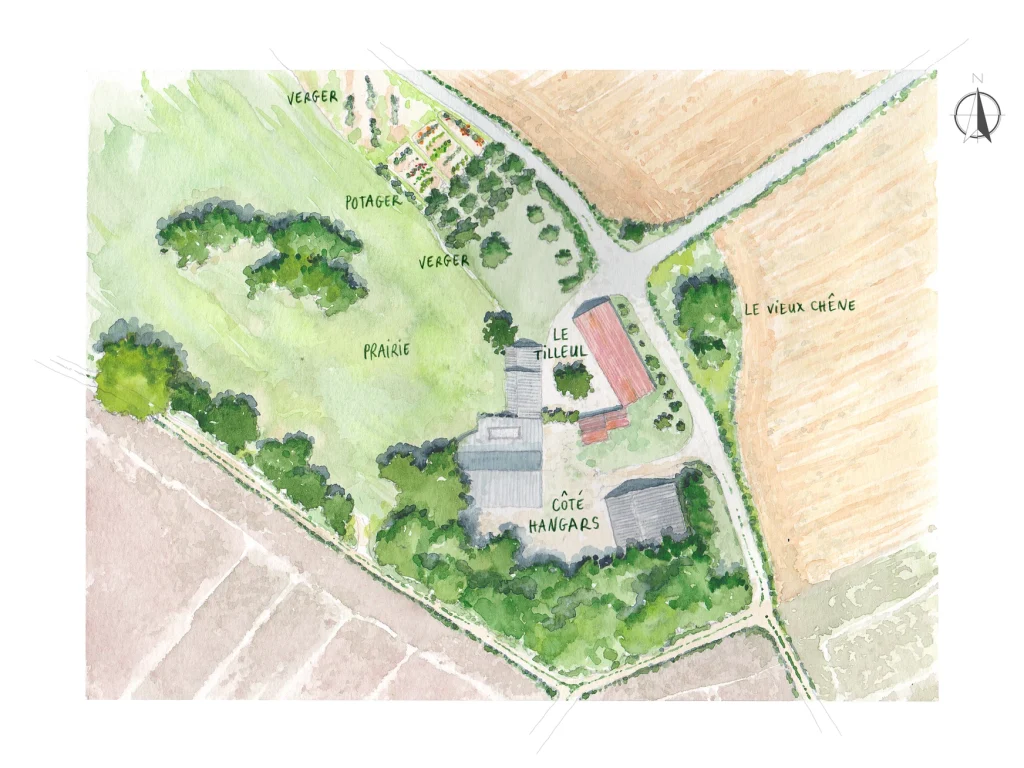 Plan - Le tilleul et le vieux chêne