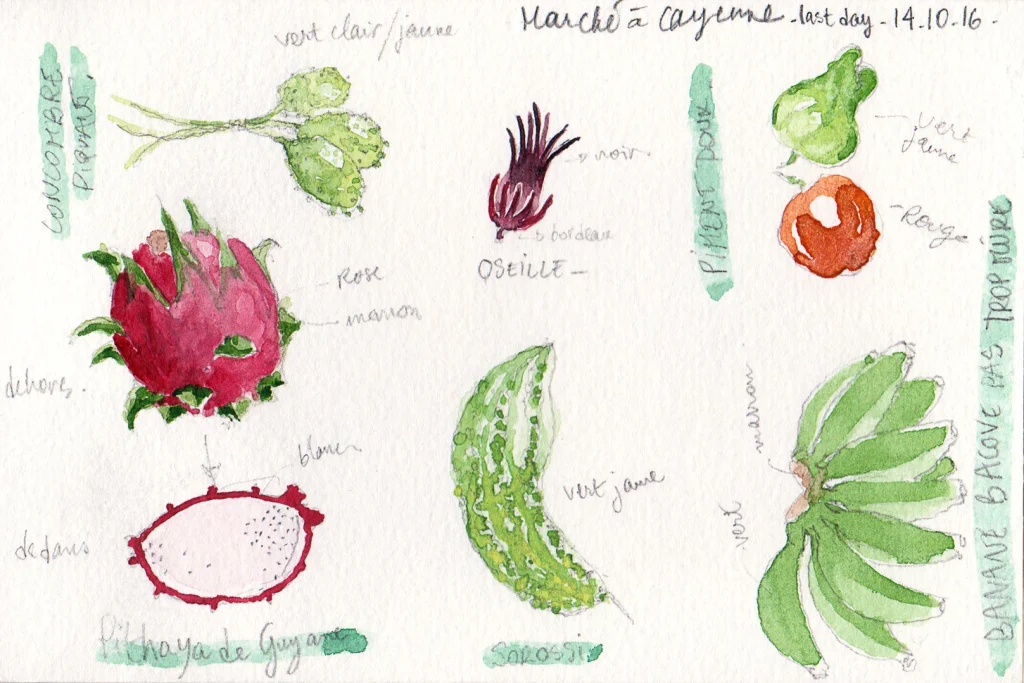 Carnet de voyage - Les fruits de Guyane